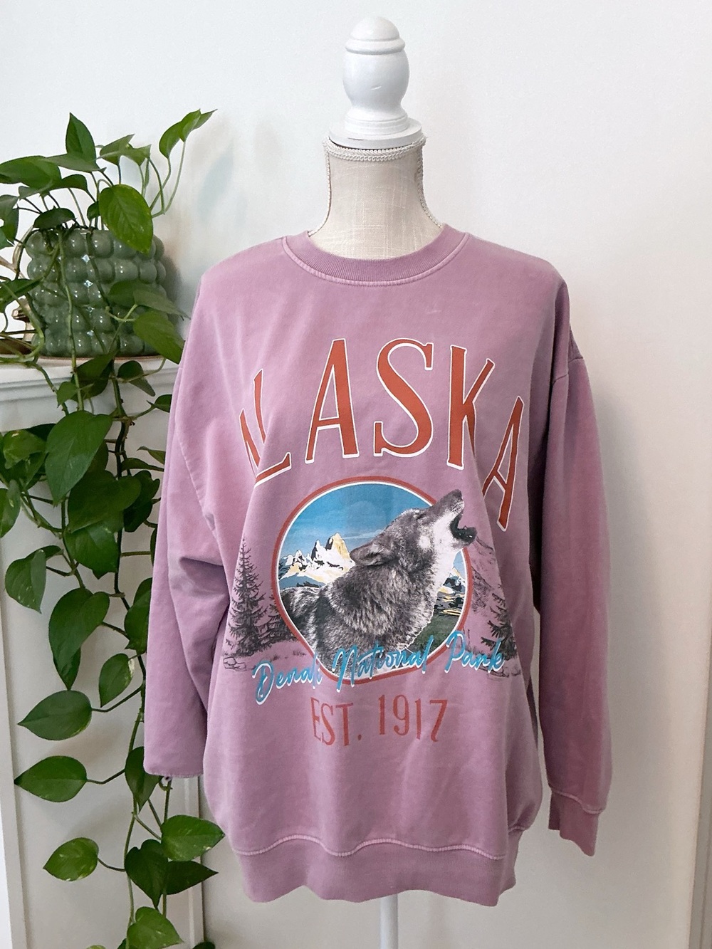 Forever 21 | Purple Mauve Alaska Crewneck Sweatshirt size M